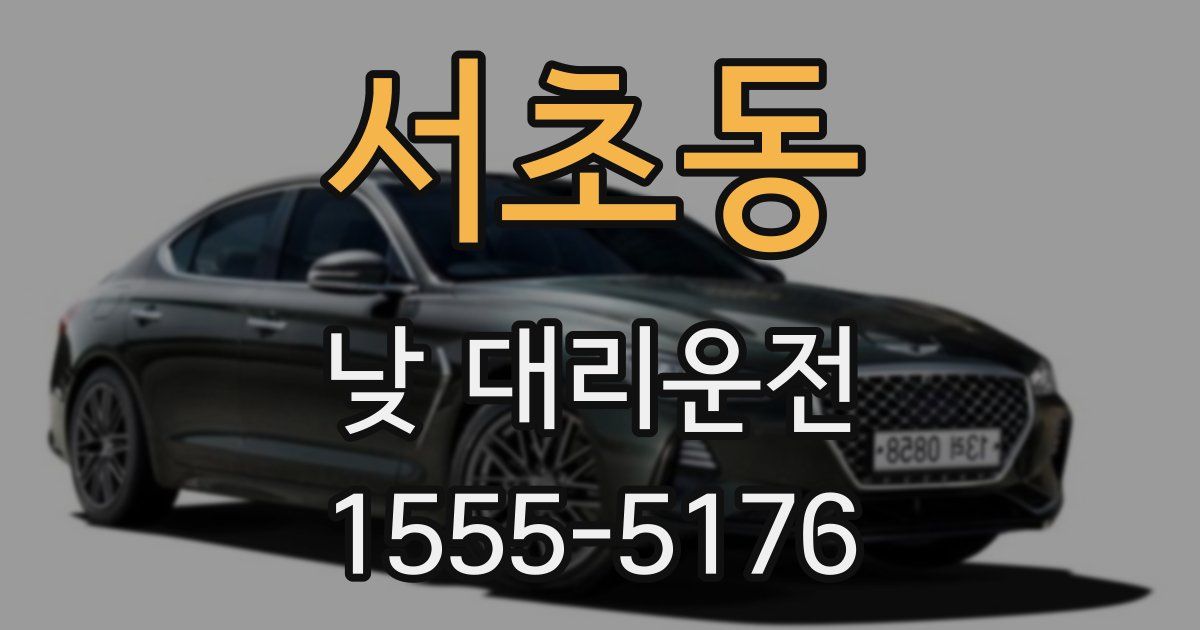 서초동 낮 대리운전