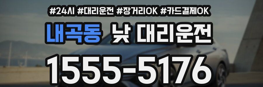 내곡동 낮 대리운전