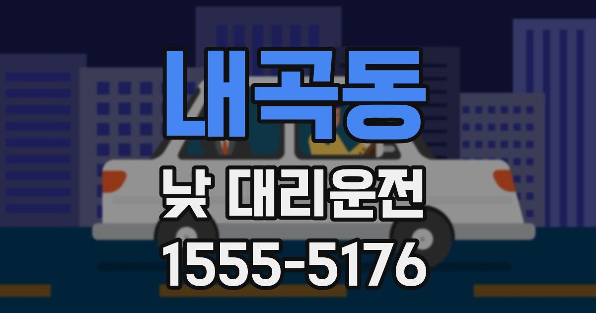 내곡동 낮 대리운전