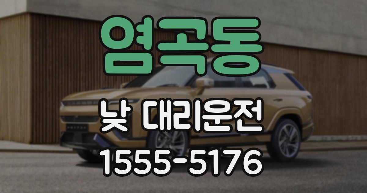 염곡동 낮 대리운전