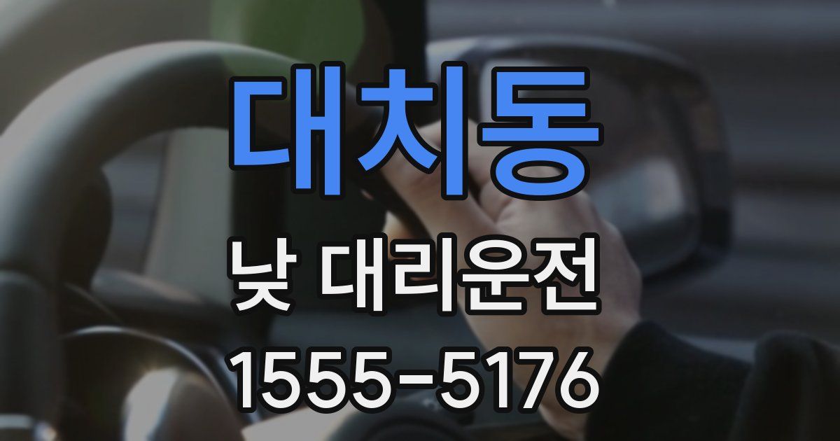 대치동 낮 대리운전