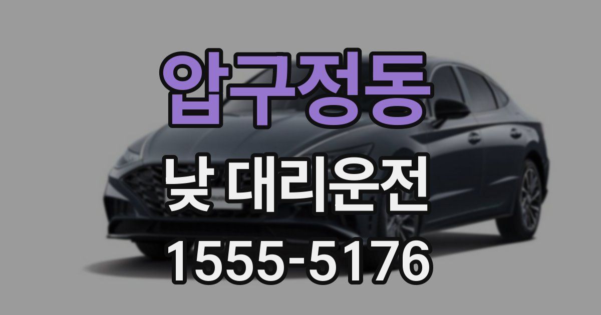 압구정동 낮 대리운전