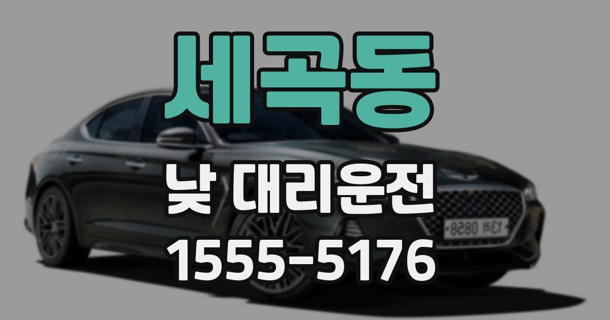 세곡동 낮 대리운전