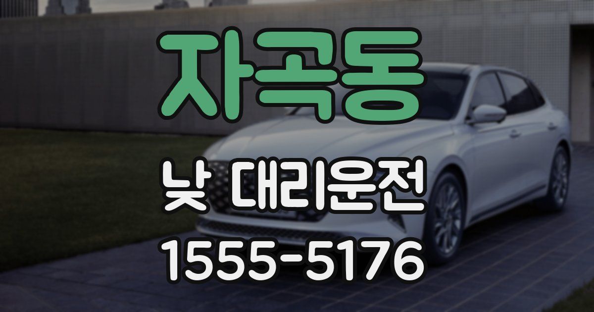 자곡동 낮 대리운전