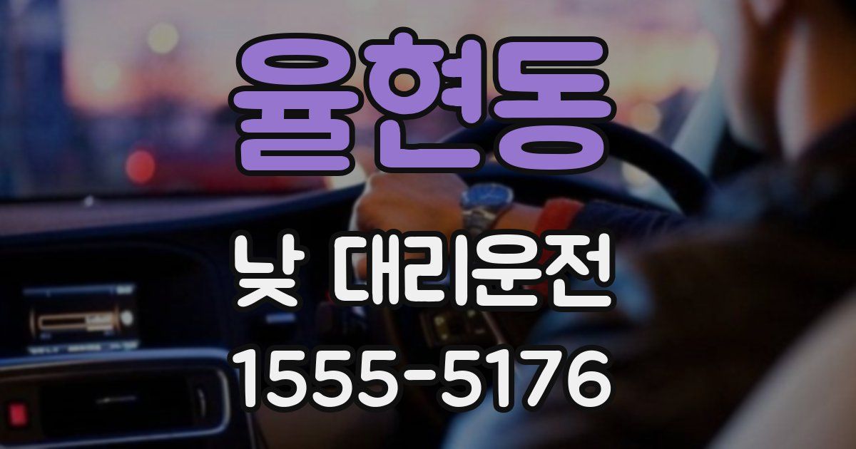 율현동 낮 대리운전