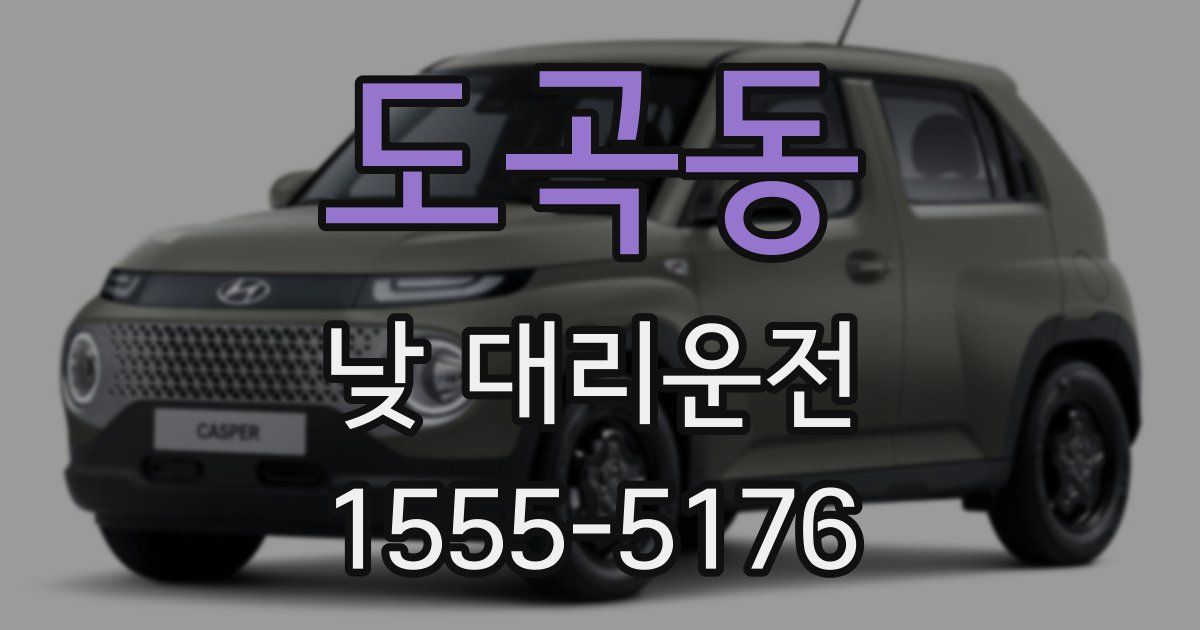 도곡동 낮 대리운전