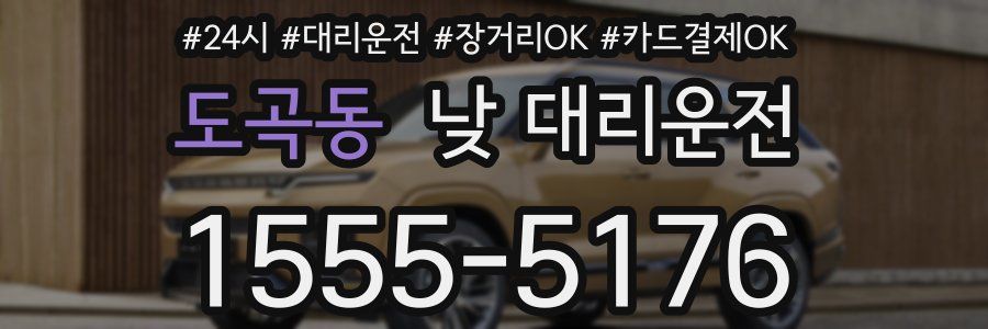 도곡동 낮 대리운전