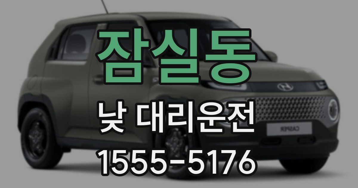 잠실동 낮 대리운전