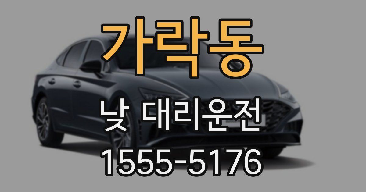 가락동 낮 대리운전