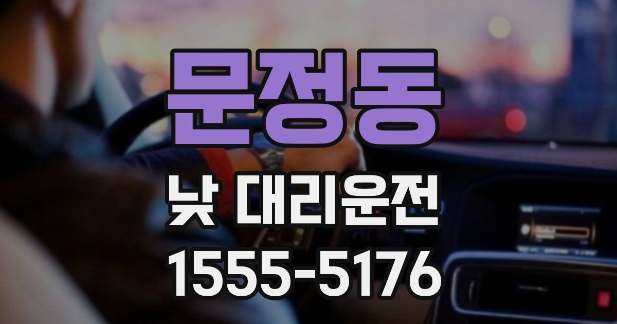문정동 낮 대리운전
