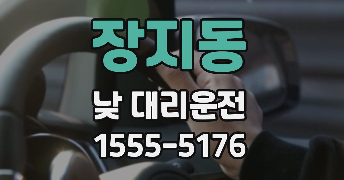 장지동 낮 대리운전