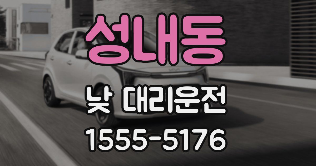 성내동 낮 대리운전