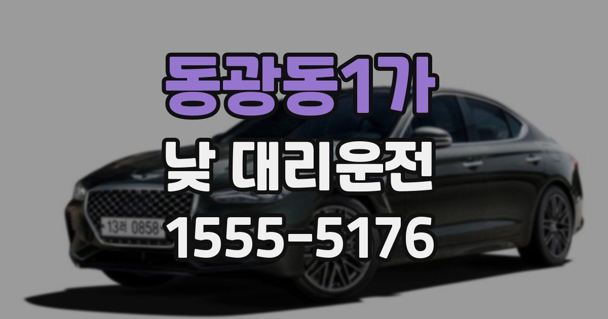 동광동1가 낮 대리운전