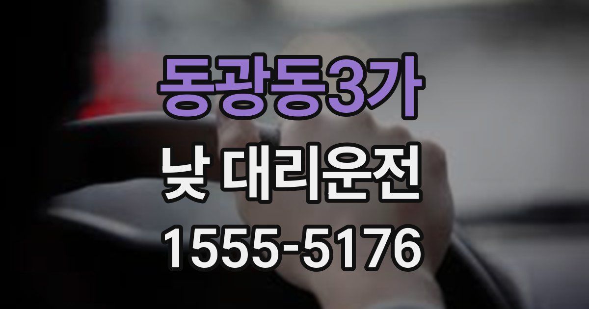 동광동3가 낮 대리운전