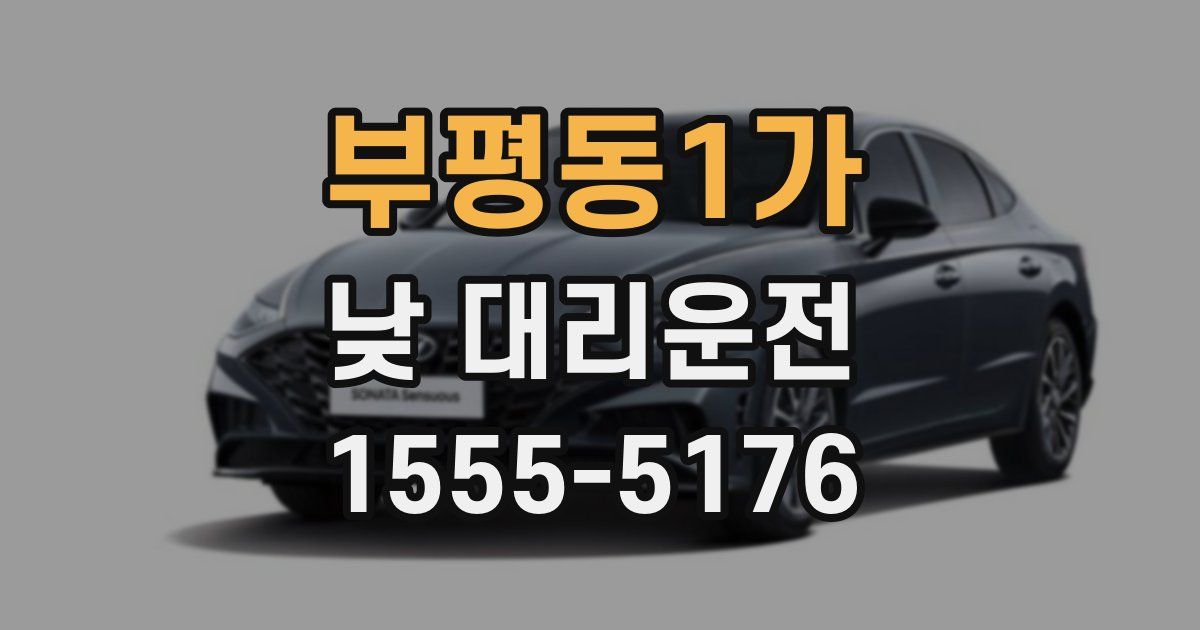부평동1가 낮 대리운전