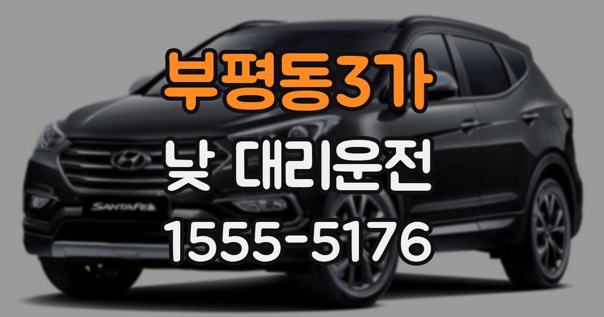 부평동3가 낮 대리운전