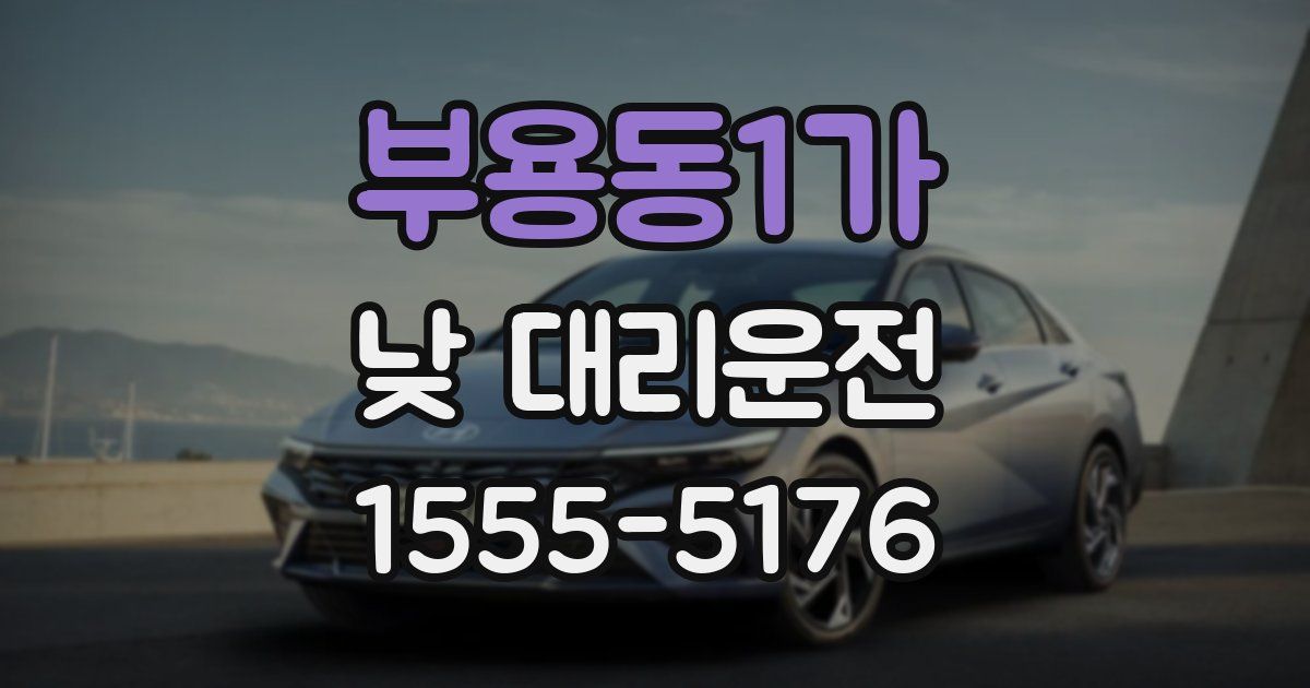 부용동1가 낮 대리운전