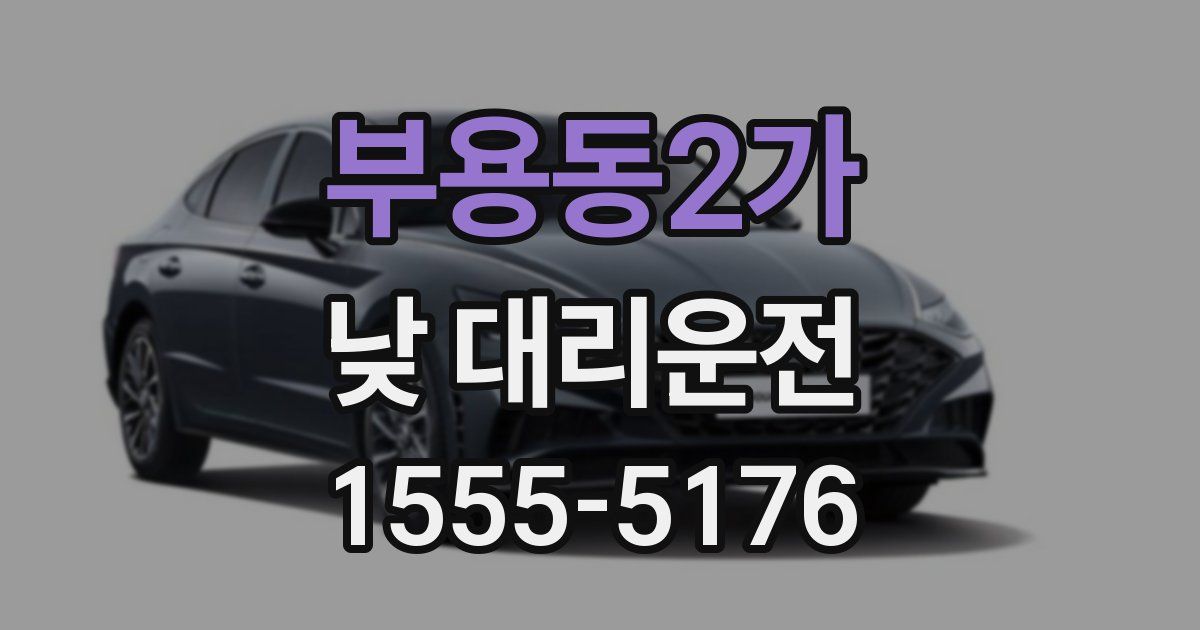 부용동2가 낮 대리운전