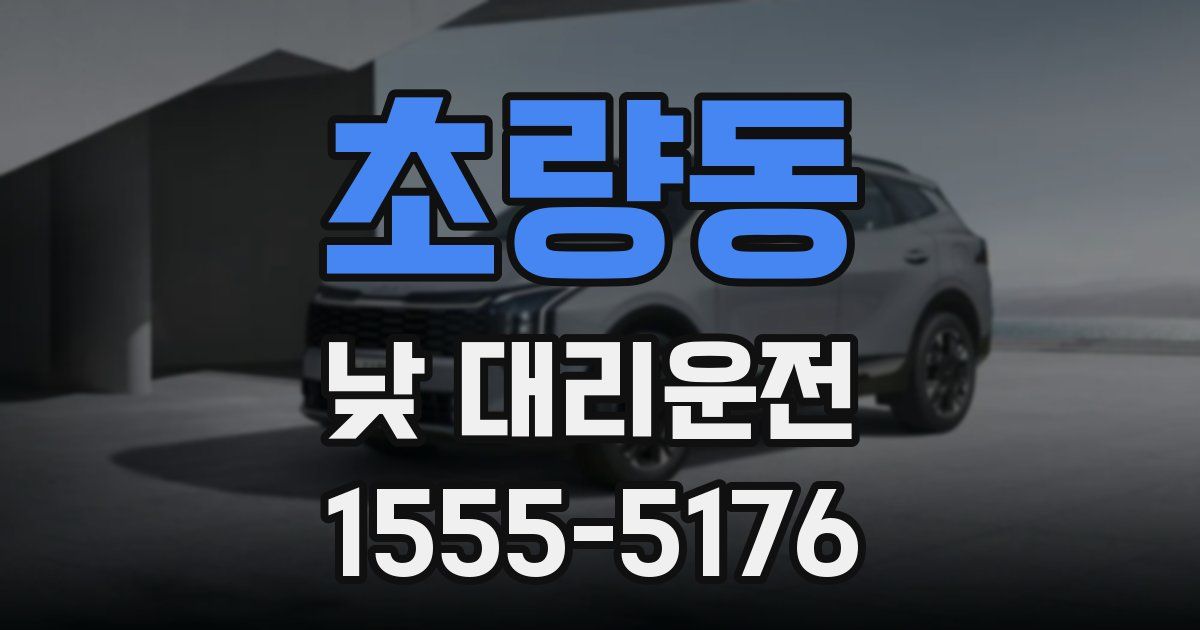 초량동 낮 대리운전