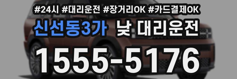 신선동3가 낮 대리운전