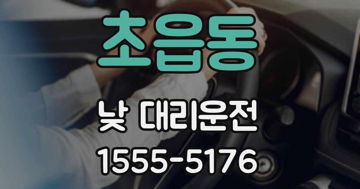 초읍동 낮 대리운전