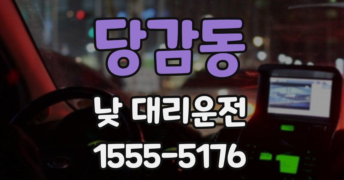 당감동 낮 대리운전