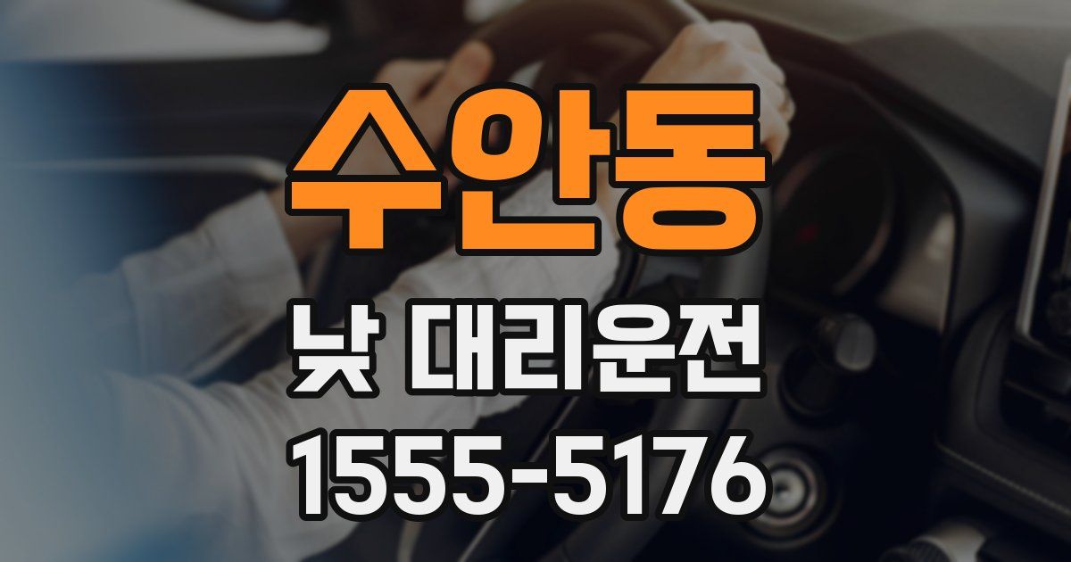 수안동 낮 대리운전