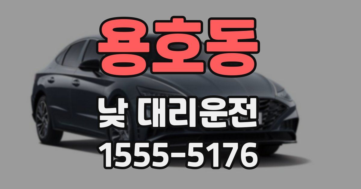 용호동 낮 대리운전