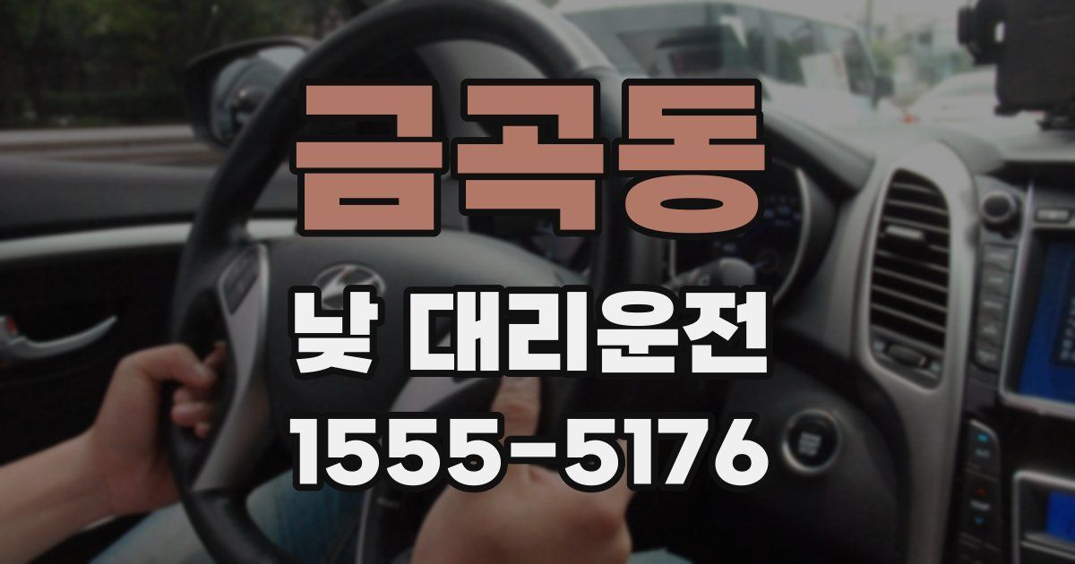 금곡동 낮 대리운전