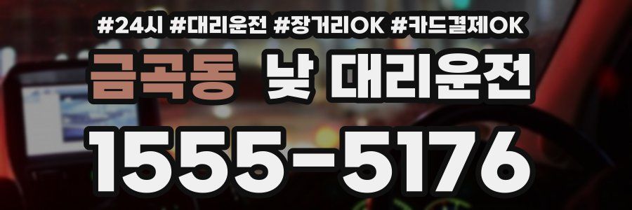 금곡동 낮 대리운전