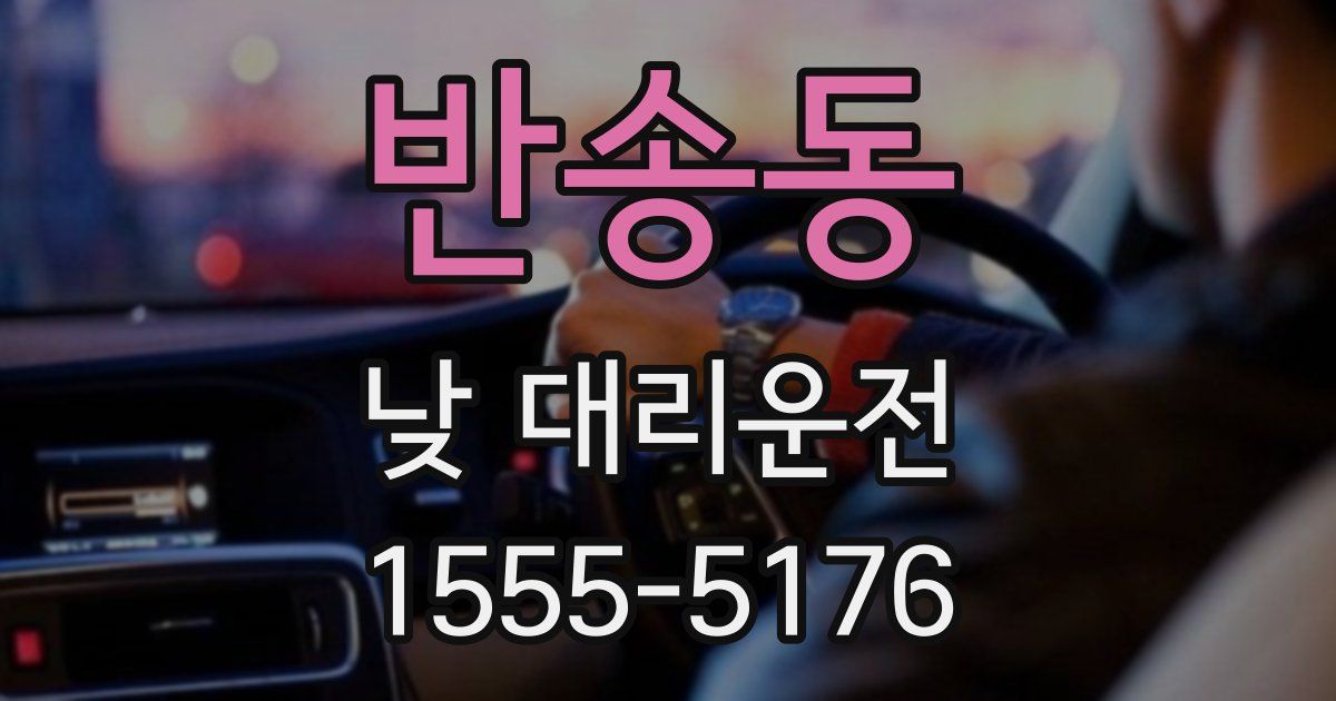 반송동 낮 대리운전