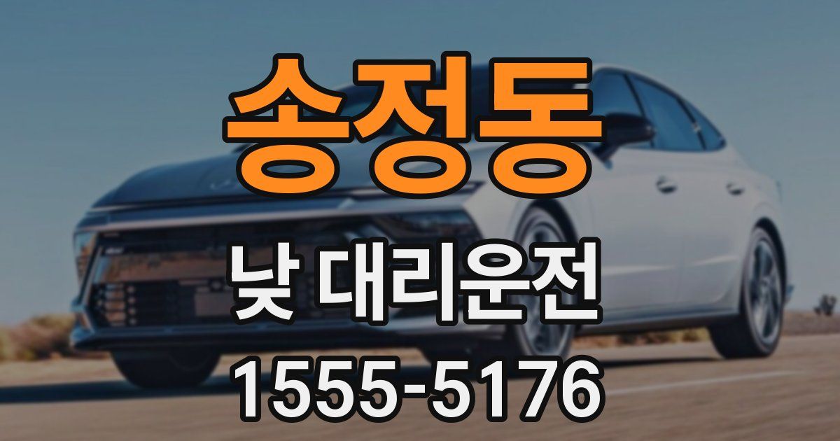 송정동 낮 대리운전