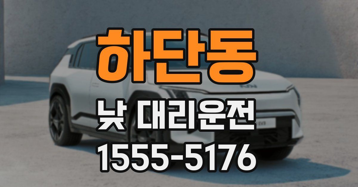 하단동 낮 대리운전