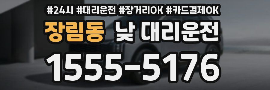 장림동 낮 대리운전