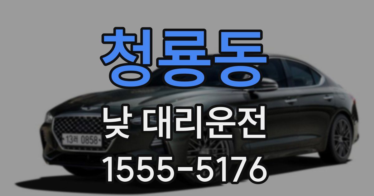 청룡동 낮 대리운전