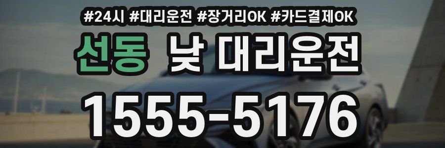 선동 낮 대리운전