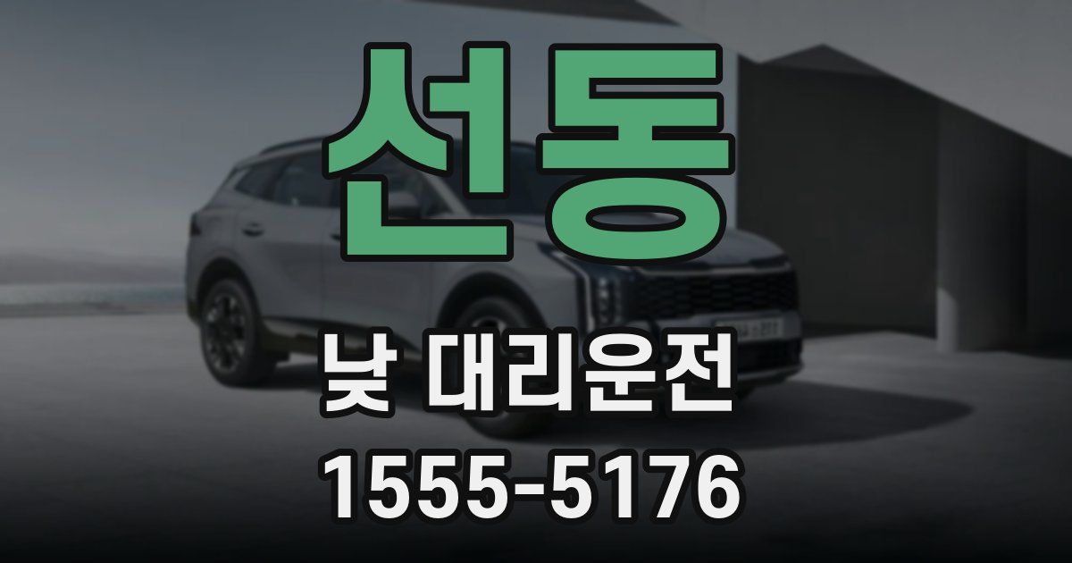 선동 낮 대리운전