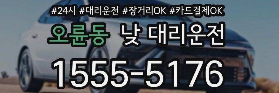 오륜동 낮 대리운전