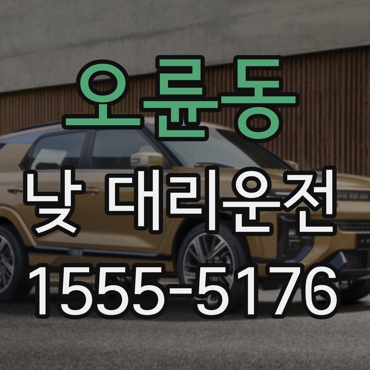 오륜동 낮 대리운전