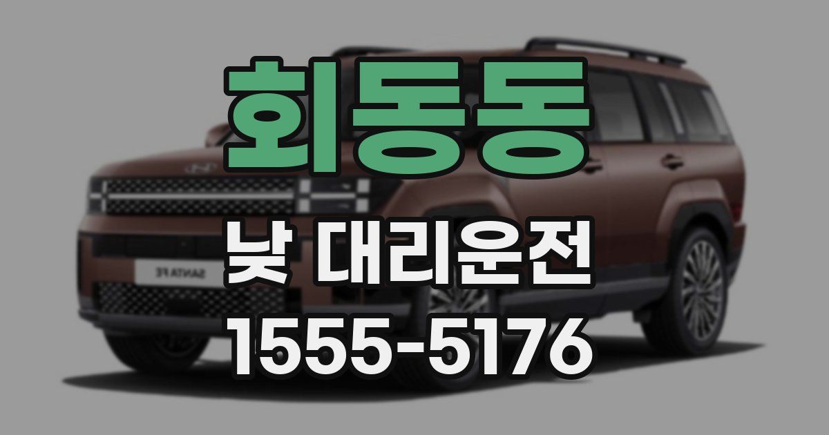 회동동 낮 대리운전