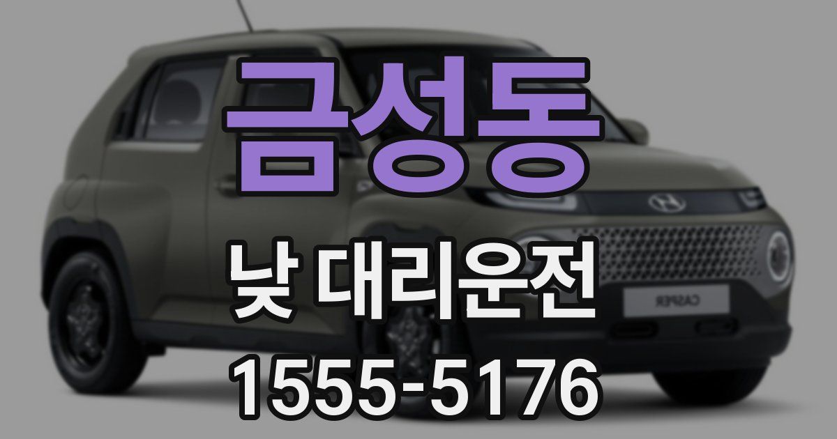 금성동 낮 대리운전