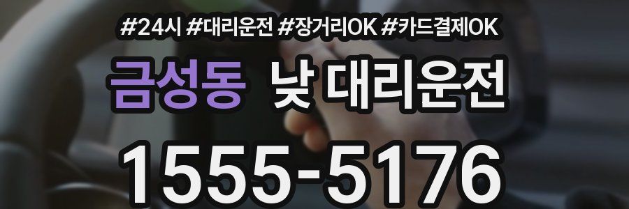 금성동 낮 대리운전