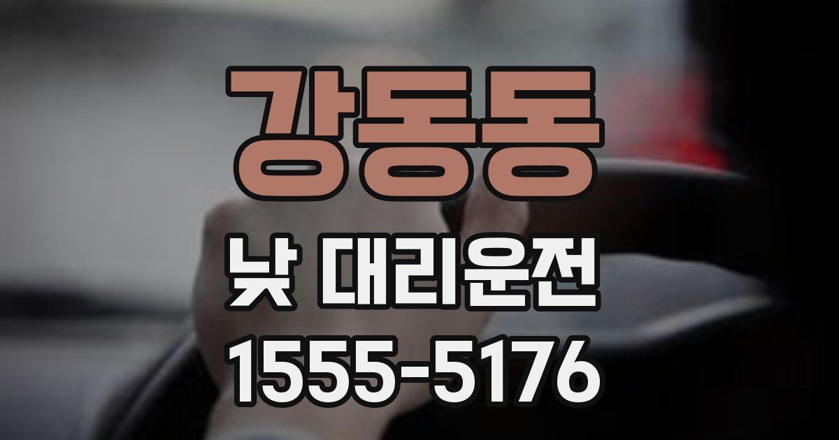 강동동 낮 대리운전