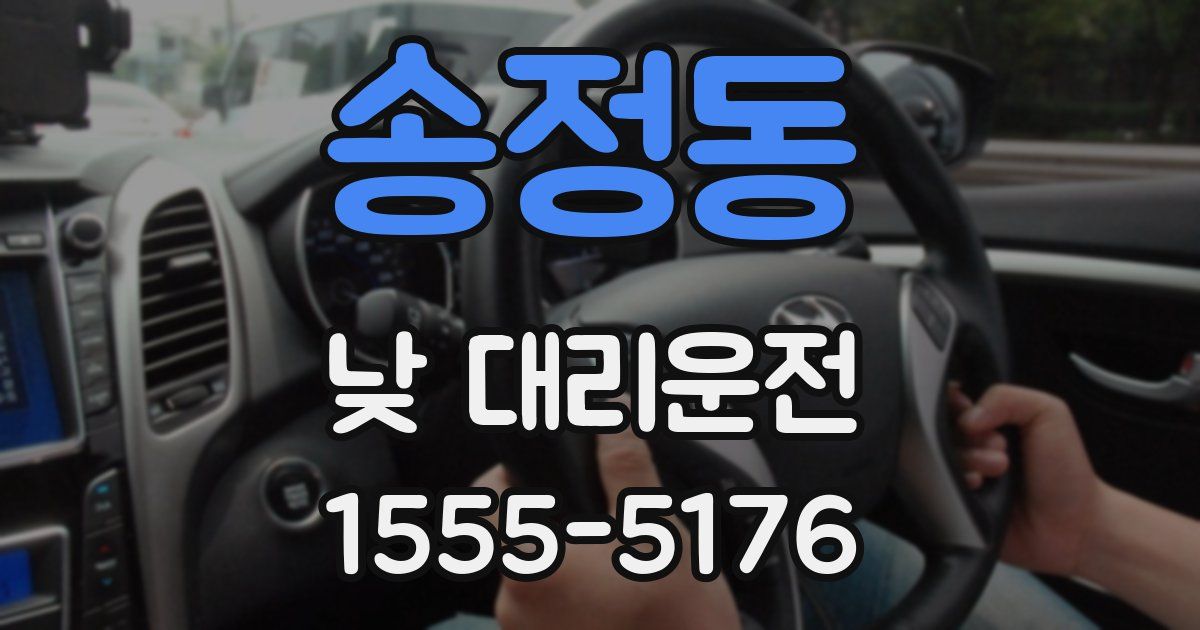 송정동 낮 대리운전