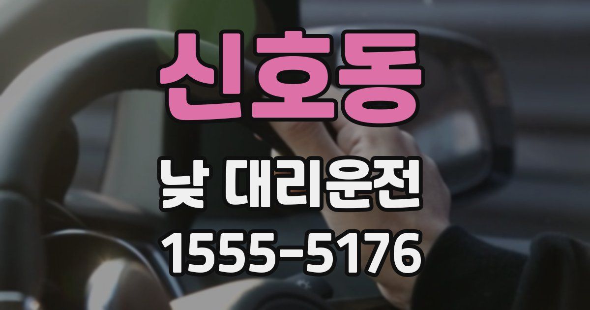 신호동 낮 대리운전