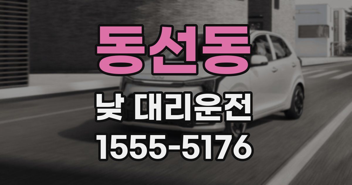 동선동 낮 대리운전