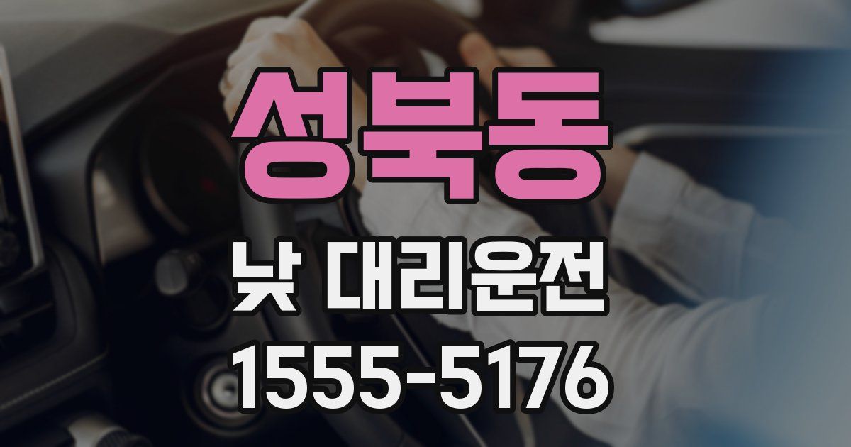 성북동 낮 대리운전
