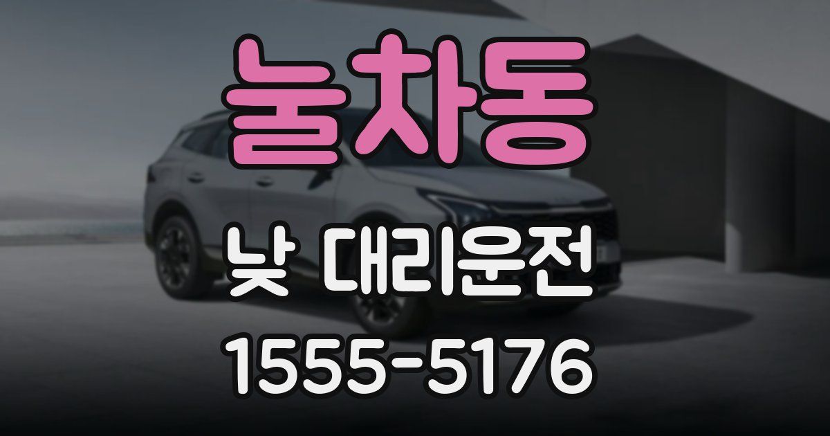 눌차동 낮 대리운전