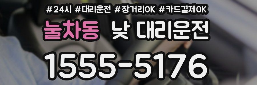 눌차동 낮 대리운전