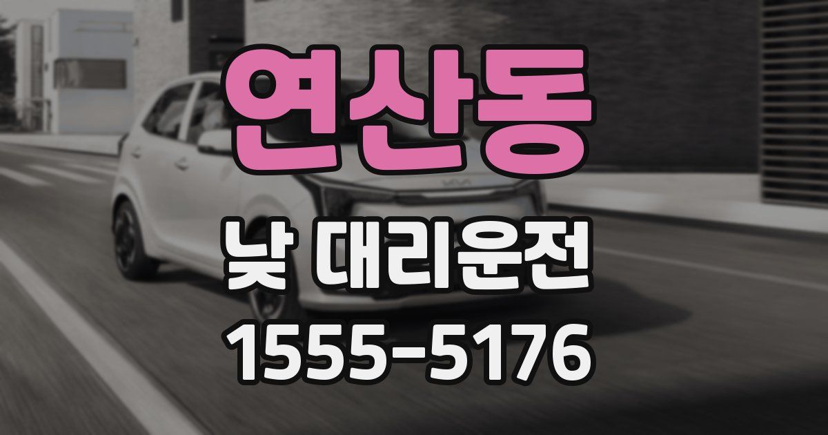 연산동 낮 대리운전